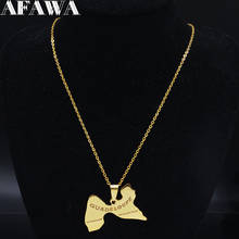 2021 moda guadalupe mapa colar de aço inoxidável para mulher cor do ouro colar jóias bijoux femme n1045s02 2024 - compre barato