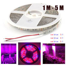 1M 5M LED Plant Grow light strip 12V lamp 5050 growing Lamp for veg flower Hydroponics indoor Greenhouse garden 2024 - buy cheap