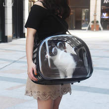 Портативная прозрачная воздухопроницаемая сумка для переноски домашних животных, рюкзак для щенков, маленьких собак, котят, Тоди, для путешествий на открытом воздухе, декоративное пространство 2024 - купить недорого