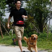 Поводок для собак и кошек, эластичный пояс с подкладкой, для бега и прогулок 2024 - купить недорого