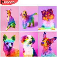 Huacan cão pintura diamante kits animais coloridos recém chegados bordado ponto cruz strass imagem adesivos de parede 2024 - compre barato