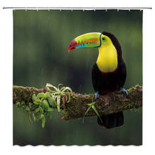 Cortinas de banho de animais divertidos, toucan eagle, pet, cão e gato, banheiro, decoração, casa, banho, banheira, poliéster, conjunto, barato 2024 - compre barato