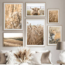 Nordic Poster And Prints Plateau Cow Fox Wheat Field Reed Hay Quote Wall Art Canvas Painting Wall Pictures For Living Room Decor 2024 - buy cheap