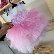 Custom Pink Tulle Baby Girls Dresses White Lace Tiered Skirt Infant Girls First Birthday Dress Kid Clothes 2024 - buy cheap