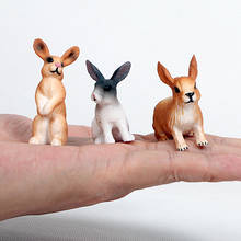 Juguetes de simulación de modelos de animales de conejo, figuras de colección, adorno de pastel, planta de jardín, decoración de automóvil, juguete de regalo 2024 - compra barato