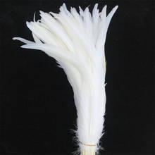 50pcs Pure White Rooster Coque Tail Feathers for Crafts Rooster Feathers Wedding Feathers Decoration Feathers for Clothes Plumas 2024 - buy cheap