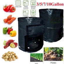 Bolsa de cultivo de flores de 3/5/7/10 galones, maceta de verduras, herramientas de jardín para invernadero, cesta de cultivo de plantas, bolsa de plántulas, maceta de patatas D30 2024 - compra barato
