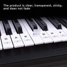 61Key Color Piano Letter Notes Transparent Piano Keyboard Stickers Hand  Roll Detachable Electronic Piano Spectrum Sticker Symbol