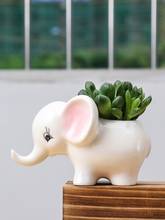 Lovely Animal Elephant Planter Ceramic Flower Pot Handmade Creative Indoor Plant Potted Desktop Decoration Crafts 2024 - buy cheap