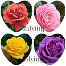 ZDYING 5pcs 25mm Colorful Rose Flowers Heart Glass Cabochon Flower Pattern Charm DIY Jewelry Findings For Necklace FW009 2024 - buy cheap