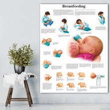 Canvas Wall Art Breastfeeding HD Prints Poster Mother Home Decoration Painting Baby Anatomy Modular Pictures For Doctor Office 2024 - buy cheap