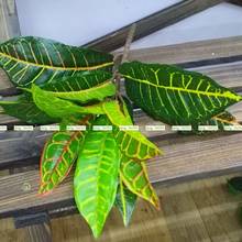 Arbusto Artificial de látex de 12 hojas, árbol de plantas Phoenix, sin maceta, jarrón, boda, decoración del hogar, Sago, Color AT019 2024 - compra barato