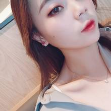 Korean Earrings Fashion Jewelry Bow Girly Sweet Cute Stud Earrings Oorbellen Statement Earrings For Women Brincos Wholesale 2024 - buy cheap