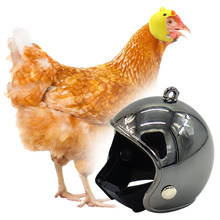 Capacete de galinha pequeno animal de estimação capacete de pássaro chapéu de codorna pato pássaro chapéu capacete de galinha animal de estimação cabeça de pássaro suprimentos para animais de estimação 1 pcs #0521y30 2024 - compre barato