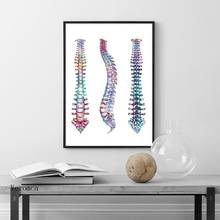 Modern Simple Decor Human Spine Anatomy Wall Art Canvas Painting Spinal Cord Biology Vertebral Poster for Doctor Office 2024 - buy cheap