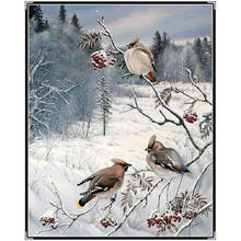 Full Square Round Drill 5D DIY Diamond Painting Snow scene 5D Embroidery Animal bird landscape Cross Stitch mosaic Home Decor 2024 - buy cheap