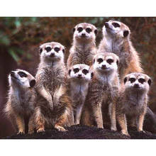 Meerkat Family Diamond Embroidery Animal Diamond Painting Scenery Cross Stitch Full SquareNeedlework Home Decor Christmas Gifts 2024 - buy cheap