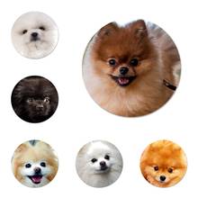 Insignia de perro pomeraniano, broche, Pin, accesorios para ropa, mochila, Decoración, regalo 2024 - compra barato