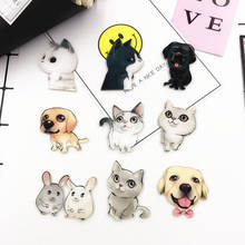 Broches acrílicos com emblema de gato, roupas de cachorro harajuku husky, cachecol e bijuteria com pino de desenho animado, 12 unidades, homens e mulheres 2024 - compre barato