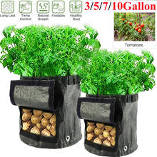 Plant Grow Bag Potato Grow Bags Planting  Waterproof PE Gardening Vegetable Planter Bag 3/5/7/10 Gallon D30 2024 - buy cheap