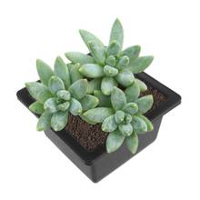 Flower Pot Imitation Plastic Balcony Rectangle Bonsai Bowl Basin Nursery Planter 2024 - buy cheap