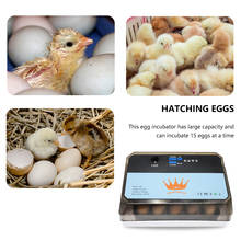 15 incubadoras de ovos, incubadoras automáticas, incubadoras de ovos. Para chocadeira de animais, galinha, pato, ganso, codorna 2024 - compre barato