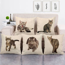 45cm*45cm  Tiger cat design high quantity cushion cover linen/cotton sofa  pillow cover decorative pillow case 2024 - buy cheap