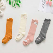 kids girl knee high socks cartoon cat squirrel pattern children babies cotton socks for Unisex socks knee high legwarm 2024 - buy cheap