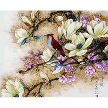 Paintings By Number Flowers And Birds Oil Pictures Wall Art Decor On Canvas Frame For Adults Coloring Drawing By Number 60x75cm 2024 - buy cheap