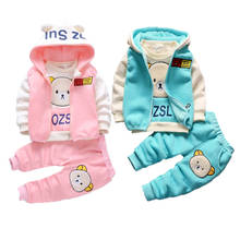 Autumn Baby Girls Clothing Sets Children Warm Hooded Coats And Pants Suit Toddler Boys Thick Velvet Tracksuit Kids Clothes Set 2024 - buy cheap