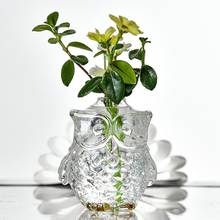 Ваза «Сова», подвесная стеклянная Цветочная ваза для растений, гидропоники, горшок, сочные растения, цветочный горшок, держатель, украшение для дома 2024 - купить недорого