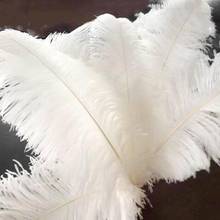 10 шт., белые страусиные перья для украшения костюма, 25-30 см, LWW1183 2024 - купить недорого
