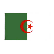 Флаг Алжира XYFlag 90x150 см, Национальный Баннер, офисный парад для украшения 2024 - купить недорого