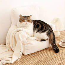 Mobília de gato com adereços para fotografia, cadeira de tecido fofo com layout fofo para animal de estimação, ninho confortável para 4 estações cama de gato 2024 - compre barato