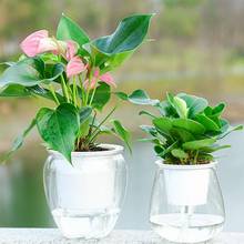 Vasos decorativos para flores, recipiente de água para plantar flores e plantas de plástico para jardim doméstico 2024 - compre barato