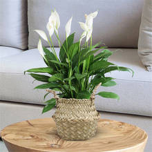 HHS Handmade Bamboo Storage Rattan Straw Basket Wicker Seagrasss Folding Laundry Plant Flower Pot Vase Home Hanging Basket decor 2024 - buy cheap