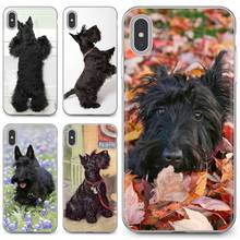 Мягкий чехол с рисунком шотландской собаки и щенка для iPhone 11 Pro 4 4S 5 5S SE 5C 6 6S 7 8X10 XR XS Plus Max For iPod Touch Black Scottish Terrier Dog 2024 - купить недорого