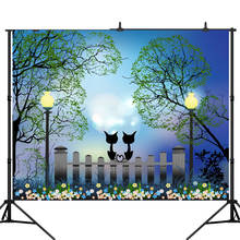 Lyavshi conto de fadas amor gato rua lâmpada flores fotografia fundos fotográficos backdrops adereços para estúdio foto 2024 - compre barato