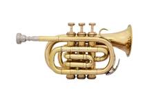 Nova chegada mini bb bolso trompete material de bronze profissional instrumento musical com bocal luvas caso transporte 2024 - compre barato