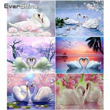 Evershine diamante bordado venda animais pintura diamante quadrado completo mosaico ponto cruz cisne imagem de strass decoração de casa 2024 - compre barato