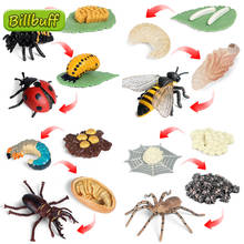 4pcs/set Insect Animals Model Simulation Ladybug Growth Cycle Action Figures Figures Miniature Educational Toy for children Gift 2024 - buy cheap