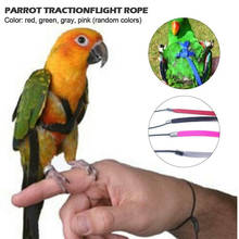 Papagaios ajustáveis arreios de pássaros trela anti-mordida corda de treinamento ao ar livre voando arreios trela fping 2024 - compre barato