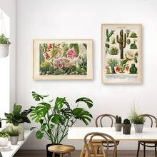 Cactus Flowers Desert Plants Succulents Canvas Painting Botanical Prints and Posters Wall Art Picture for Living Room Home Decor 2024 - buy cheap