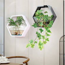 Vaso de flores de acrílico criativo, vaso de parede para plantas hidropônicas scindapsus, suculentas modernas, decoração para casa, sala de estar 2024 - compre barato