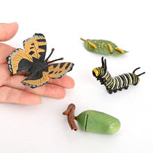 4 Piece Life Cycle Figures, Insects Plastic Butterfly Toy Figure - Authentic Hand Painted Model 2024 - buy cheap