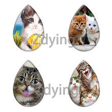Zdying Lovely Animal Cats Teardrop Water Drop Glass Cabochon Photo Beads DIY Demo Flat Back Making Findings Accessories Supplies 2024 - buy cheap