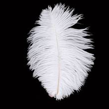 10Pcs/lot White DIY Ostrich Feathers Crafts Natural Plume Wedding Colored Feathers Small Jewelry Making Party Decoration 15-30CM 2024 - buy cheap