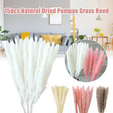 15 PCS Of Natural Dried Prairie Grass Reed Bunch Flowers Natural Dried Flower Bunch Family Wedding Floral Decoration 60-80cm XHZ 2024 - buy cheap