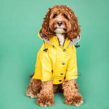Large dog raincoat dog coat pet clothes yellow dog windcheater big dog rain coat waterproof outdoor jacket 2024 - buy cheap