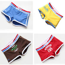 3pcs Plus Size Women Cotton Underwear Panties Shorts Tomboy Trans Les Lesbian Ftm Boxer Briefs Safety Sport Boyshort Underpants 2024 - buy cheap